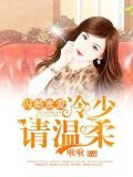 闪婚蜜爱：冷少请温柔