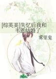 [综英美]失忆后我和韦恩结婚了